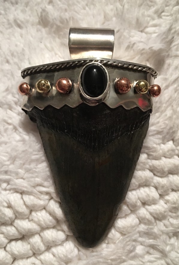 Jewelry Sharks Tooth Necklace
